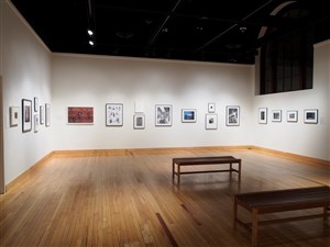 Double Take: Precision and Ambiguity in the Photograph